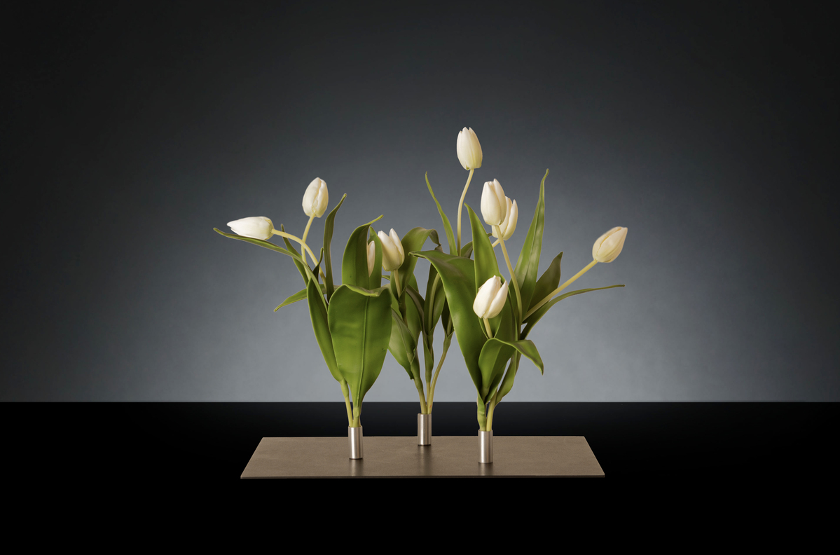 1700219069-1142905.96 TRIS MINI TULIP_2LOW